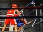 Campionat National de Box Tineret