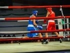 Campionat National de Box Tineret