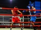 Campionat National de Box Tineret