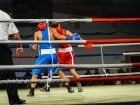 Campionat National de Box Tineret