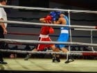 Campionat National de Box Tineret