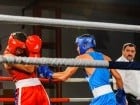 Campionat National de Box Tineret