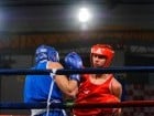 Campionat National de Box Tineret