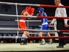 Campionat National de Box Tineret