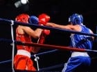 Campionat National de Box Tineret