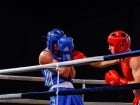 Campionat National de Box Tineret