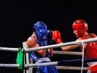 Campionat National de Box Tineret