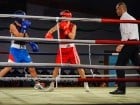 Campionat National de Box Tineret