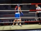 Campionat National de Box Tineret