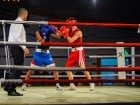 Campionat National de Box Tineret