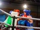 Campionat National de Box Tineret