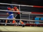 Campionat National de Box Tineret