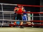 Campionat National de Box Tineret