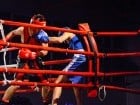 Campionat National de Box Tineret