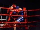 Campionat National de Box Tineret