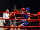 Campionat National de Box Tineret