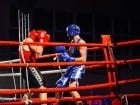 Campionat National de Box Tineret