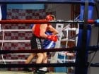 Campionat National de Box Tineret