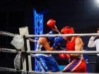 Campionat National de Box Tineret