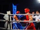 Campionat National de Box Tineret