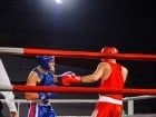 Campionat National de Box Tineret