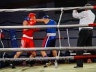 Campionat National de Box Tineret