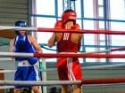 Campionat National de Box Tineret