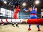 Campionat National de Box Tineret