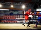 Campionat National de Box Tineret