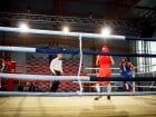 Campionat National de Box Tineret