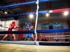 Campionat National de Box Tineret