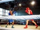 Campionat National de Box Tineret