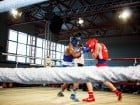 Campionat National de Box Tineret