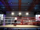 Campionat National de Box Tineret