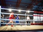 Campionat National de Box Tineret