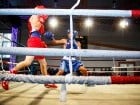 Campionat National de Box Tineret