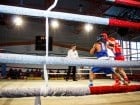 Campionat National de Box Tineret