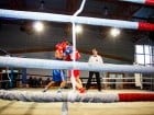 Campionat National de Box Tineret