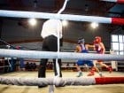 Campionat National de Box Tineret