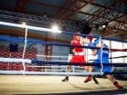 Campionat National de Box Tineret