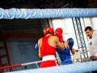 Campionat National de Box Tineret