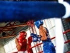 Campionat National de Box Tineret