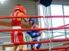 Campionat National de Box Tineret