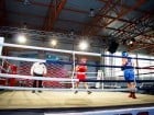 Campionat National de Box Tineret