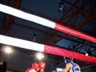 Campionat National de Box Tineret