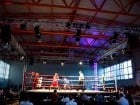 Campionat National de Box Tineret