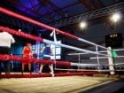 Campionat National de Box Tineret