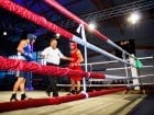 Campionat National de Box Tineret