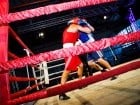 Campionat National de Box Tineret