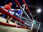 Campionat National de Box Tineret